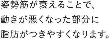 姿勢筋が衰えることで、動きが悪くなった部分に脂肪がつきやすくなります。