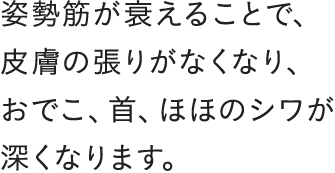 姿勢筋が衰えることで、皮膚の張りがなくなり、おでこ、首、ほほのシワがくなります。