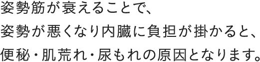 姿勢筋が衰えることで、姿勢が悪くなり内臓に負担が掛かると、便秘・肌荒れ・尿もれの原因となります。