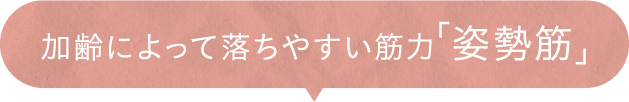 加齢によって落ちやすい筋力「姿勢筋」