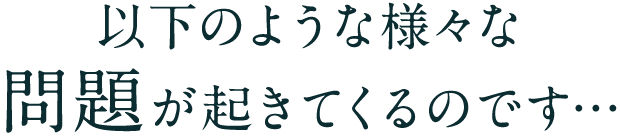 以下のような様々な問題が起きてくるのです…